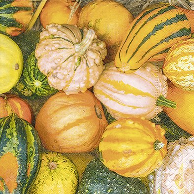 Preisvergleich Produktbild 20 Servietten 33x33 cm Pumpkin decoration