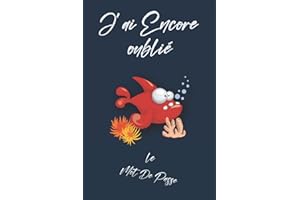 Carnet de Mots de Passe: Carnet de mots de passe alphabétique pour conserver vos identifiants internet et codes secrets | 104 Pages