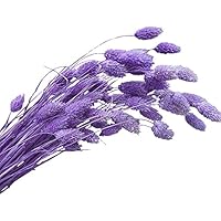 Suchergebnis auf Amazon.de für: 0 - 20 EUR - Gartenkamine / Kamine