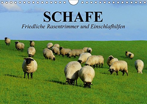 Preisvergleich Produktbild Schafe. Friedliche Rasentrimmer und Einschlafhilfen (Wandkalender 2018 DIN A4 quer): Nützliche Wollknäuel und Bereicherung der Landschaften (Geburtstagskalender, 14 Seiten ) (CALVENDO Tiere)