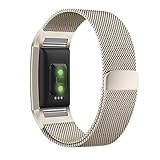 MLIYA Fitbit Charge 2 Armbänder klassische Bänder mit Magnet Edelstahl Armbanduhren Watch Band Fitness für Fitbit Charge 2 (Champagner groß)