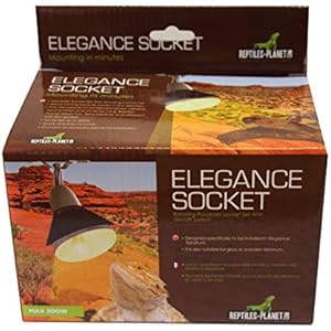 Reptiles Planet Elegance-Halteru