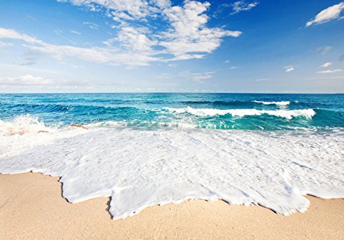 FOTOTAPETE 350×245 cm – VLIES TAPETE PREMIUM – PROFI QUALITÄT – Top moderne Wanddeko – Riesen Wandbild – Top Design Tapete – Neue exklusive Edition mit noch besser Druckauflösung – Deutsches Premium Vlies – Strand Meer Natur c-B-0035-a-a - 3