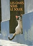 Les Chats sous le soleil