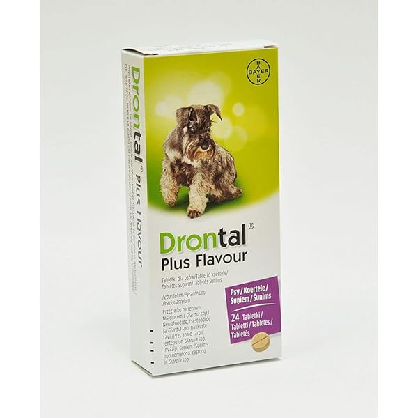 drontal dog tasty bone amazon