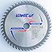 Price comparison product image WELLCUT Saw Blade 160mm, Bore 20mm, 48 Teeth, 2.2mm Kerf for Festool Bosch Makita DeWalt etc. Industrial Quality Tungsten Carbide Tipped (TCT)