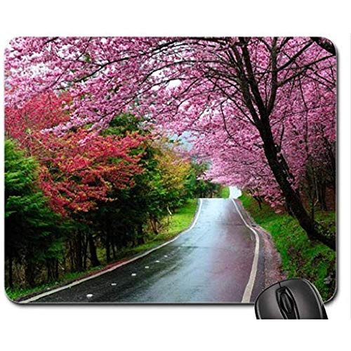 Preisvergleich Produktbild Sonnenuntergang über Belize River Mauspad, Mousepad (Rivers Mouse Pad) 30X25CM