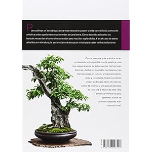Bonsai, Guia Practica Completa (Manuales de Jardinería)