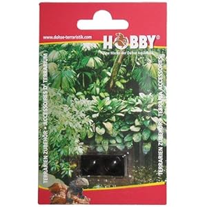 Knöpfe für Terrarienscheiben, 10 mm, schwarz, 2 St.,