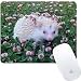 Produktbild SOONSOP Gaming Mauspad Rechteckig 260x210x3mm Schreibtischunterlage Anti Rutsch Matte für Computer, PC und Laptop - Hedgehog In der Blumenwiese