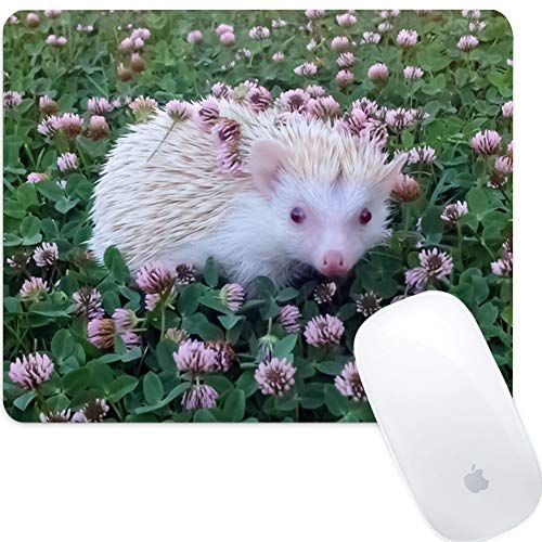 Preisvergleich Produktbild SOONSOP Gaming Mauspad Rechteckig 260x210x3mm Schreibtischunterlage Anti Rutsch Matte für Computer, PC und Laptop - Hedgehog In der Blumenwiese