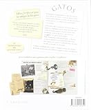 Image de Gatos (Larousse - Libros Ilustrados/ Prácticos - Ocio Y Naturaleza - Ocio)