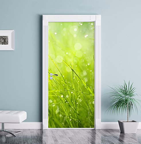 Nasses Gras als Türtapete, Format: 200x90cm, Türbild, Türaufkleber, Tür Deko, Türsticker - 2