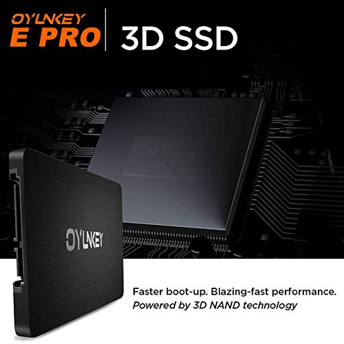 OYUNKEY 3D NAND SSD 120GB 2 5 pulgadas SATA III Disco duro s  lido interno hasta 520 MB s de velocidad de lectura  hasta 400 MB s de velocidad de escritura para Desktop   Laptop   Notebook   E PRO-120G   