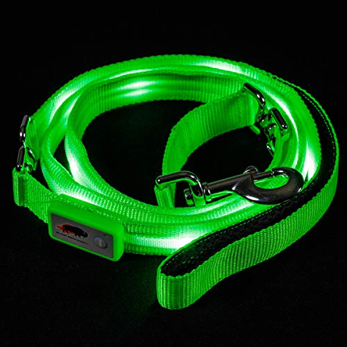 Blazin 'LED Sicherheit für Hunde Leine - USB Wiederaufladbar Blinklicht, 4 ft & 6 ft, Wasserabweisend - Vermeiden Gefahr, Large, Grün