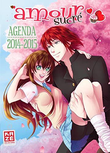 Télécharger Amour Sucre - Agenda Scolaire 2014-2015 PDF
