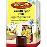 Bettwanzen beseitigen