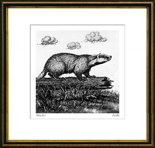 Single-colored etching Dachs by Falk in a brown-gold frame behind a passe-partout, graphics, art design, art print