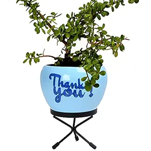 HINS Thank You Metal Round Shape Flower Plant Pot For Indoor Plants (Sky Blue) Metal Pots For Indoor Plants I Elevated Garden Planter I Raised Planter I Pots I Desk Plant I Raised Planter Box I Ascent Homes Metal Planter I Raised Planter Box With Legs I Brass Pots For Indoor Plants I Golden Planter I Mid Century Plant Stand I Brass Planters For Indoor Plants I Indoor Plant Stand For Living Room I Metal Planters Pot For Indoor Plants designer pots for indoor pla