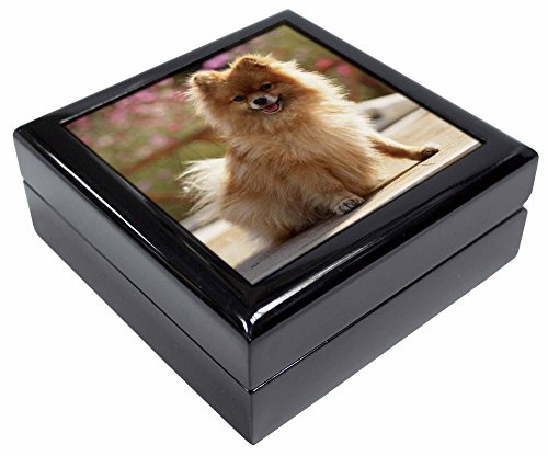 Preisvergleich Produktbild Advanta - Jewellery Boxes Pommerschen Hund auf Terrassendielen Andenken / Schmuck Box Weihnachten Geschenk