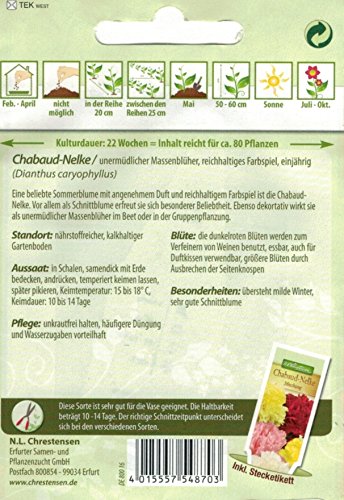 Chrestensen Chabaud-Nelke ‚Mischung‘ - 2