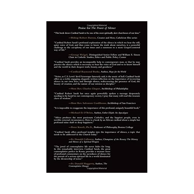 St John Of The Cross Teaching On Satans Involvement In - 