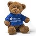 Price comparison product image GUND Big Brother Bear Soft Toy