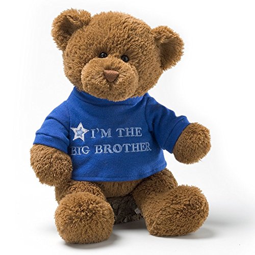 Price comparison product image GUND Big Brother Bear Soft Toy