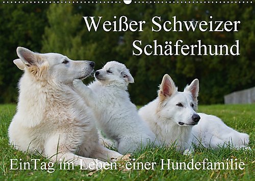 Weißer Schweizer Schäferhund - Ein Tag im Leben einer Hundefamilie (Wandkalender 2017 DIN A2 quer): Auf 13 Kalenderblättern läßt uns die ... (Monatskalender, 14 Seiten ) (CALVENDO Tiere)