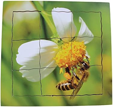 Just Jigsaws JJ600 Bee Layered Life Cycle Tray Puzzle