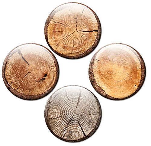 Baumstämme – Stämmige Design Metall Magnettafel 40×30 cm – Pinnwand Memoboard mit Motiv: Baumstämme – inkl. 4 Magnete mit Motiven in Baumstammscheibenoptik für Magnetwand – Original Magnetpinnwand GUMA Magneticum - 2