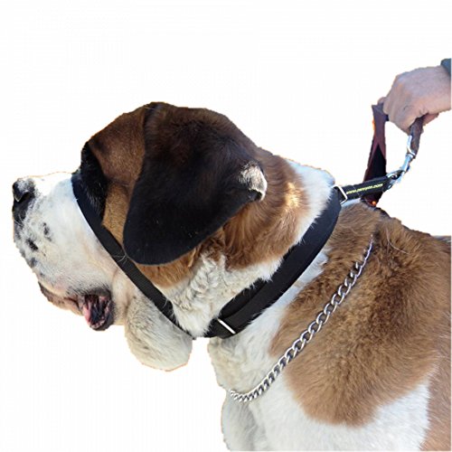 Canny-Colossus-Anti-Pull-Dog-Collar