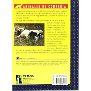 Epagneul bretón y otros epagneuls continentales (Epagneul Breton)