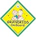 Grandkids On Board, Cute Green, Grandkids On Board Sign, Grandchildren On Board Sign, Baby on Board Sign, Maternity Gift, baby on board