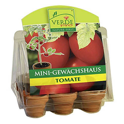 VerdeVivo Mini Gewächshaus Komplett-Set mit 6 Terrakotta-Töpfchen, Kokos-Substrat & Saatgut, 100% torffrei, Tomate