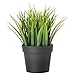 Produktbild Ikea Artificial Potted Plant, Wheat Grass, 7.75 Inch
