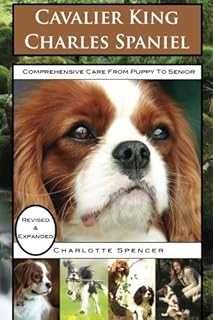 king charles spaniel care