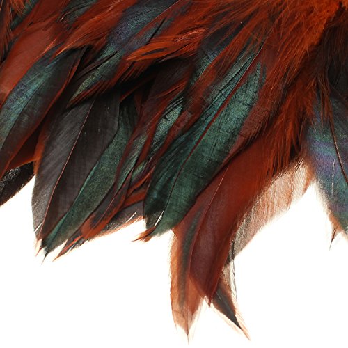 KING DO WAY 100 Stück Hahnenfedern Flügelfedern Hahn Federn Pad Feather Schmuckfeder DIY 8 Farbe kaffee - 4