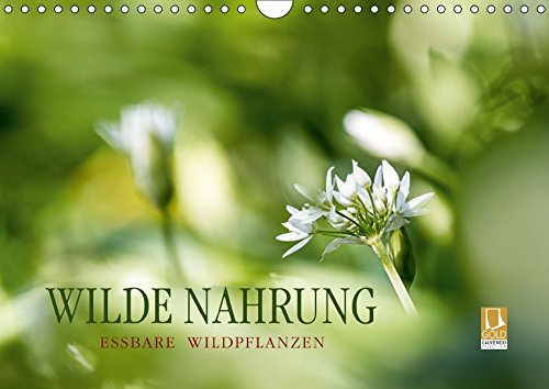 Preisvergleich Produktbild WILDE NAHRUNGAT-Version (Wandkalender 2019 DIN A4 quer): Essbare Wildpflanzen: faszinierend, gesundheitsfördernd und artenreich. (Monatskalender, 14 Seiten ) (CALVENDO Lifestyle)