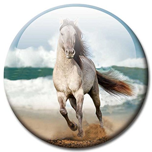 Magnettafel Pferd am Meer – Faszinierende Design Metall Magnettafel 60×40 cm – Pinnwand Memoboard mit Motiv: Pferd am Meer Ocean Horse – inkl. 6 Magnete Pferde am Meer Ocean Horses für Magnetwand – Original Magnetpinnwand GUMA Magneticum - 6
