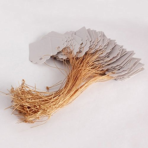 Dealglad 100 piezas tira impermeable de pl stico etiquetas de jardiner
a se ales planta etiquetas colgando gris 3 6 x 2 5 cm