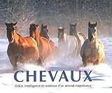 Image de Chevaux : Grâce, intelligence et noblesse d'un animal majestueux