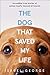 Produktbild The Dog That Saved My Life: Incredible True Stories of Canine Loyalty Beyond all Bounds