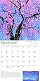 Image de Audubon the World of Trees 2016 Calendar