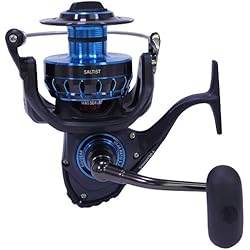 Daiwa saltist 5,7: 1 Gear Carrete de pesca, Daiwa