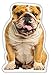 Produktbild iLeesh English Bulldog Geformte Kissen