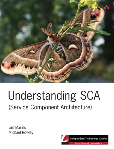 Understanding SCA (Service Component Architecture) (Independent Technology Guides) (English Edition) Understanding SCA (Service Component Architecture) (Independent Technology Guides) (English Edition)