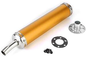 LADIESHOW Silenziatore del tubo di scarico, silenziatore di scarico in acciaio inossidabile Parti modificate da 20 mm/0,8 pollici per moto a 2 tempi(Oro)