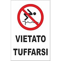 Cartello Segnaletico Veicolo Geolocalizzato - Adesivo, Forex O Alluminio - 20x30 Cm - Foto 12