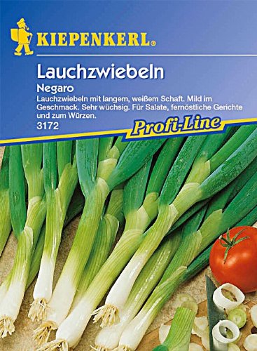 Lauchzwiebeln 'Negaro'